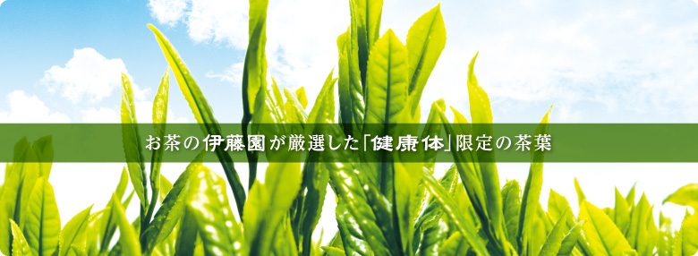 通販限定茶葉