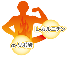 画像イメージ