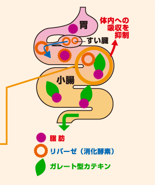図