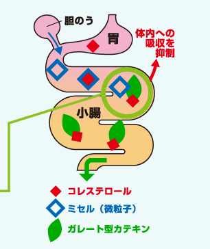 図