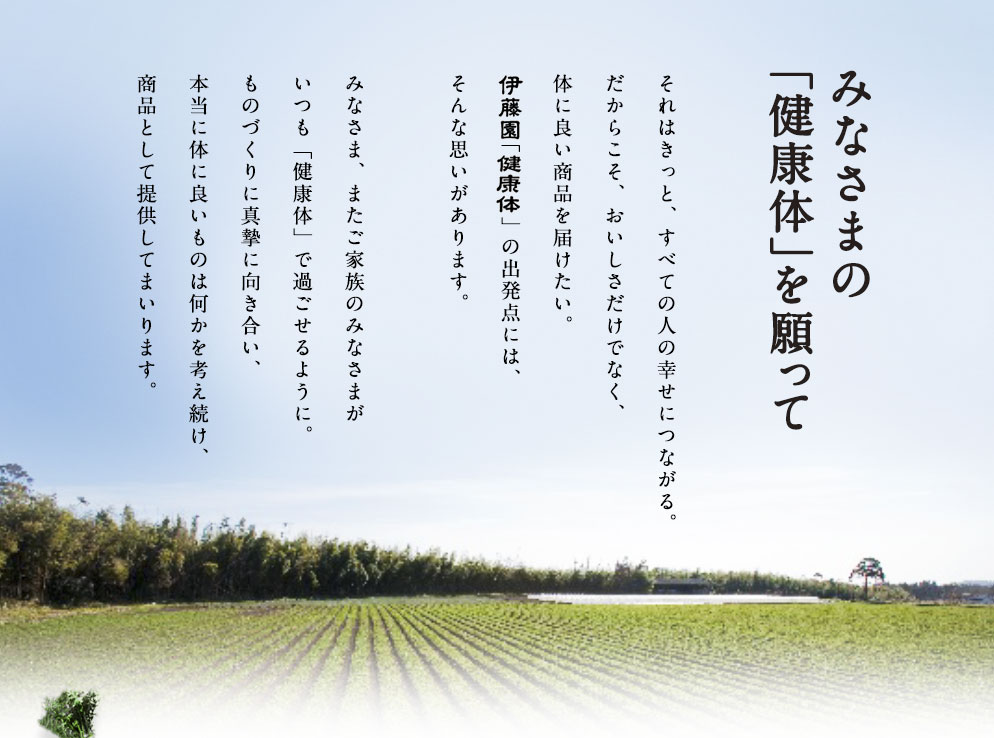 みなさまの「健康体」を願って それはきっと、すべての人の幸せにつながる。だからこそ、おいしさだけでなく、体に良い商品を届けたい。伊藤園「健康体」の出発点には、そんな思いがあります。みなさま、またご家族のみなさまがいつも「健康体」で過ごせるように。ものづくりに真摯に向き合い、本当に体に良いものは何かを考え続け、商品として提供してまいります。