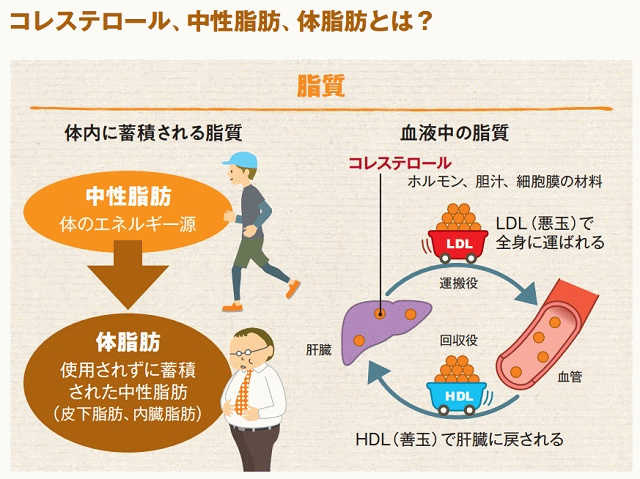 悪玉 コレステロール 減らす