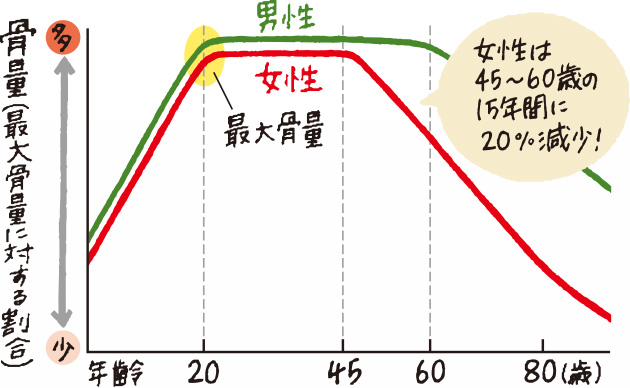 ʂ20΍s[N45΂炢܂ł͈ێ܂B̌͒jAƂɌ܂Aɏ͕o}ɉ~܂B45`60΂15NԂ20I