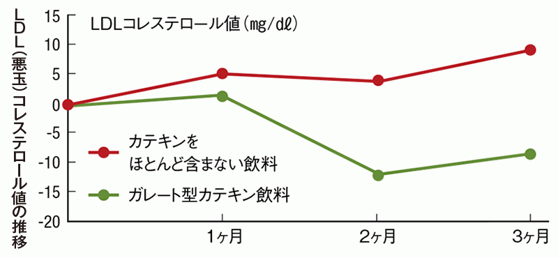 教えて 先生 カテキンでコレステロールや体脂肪は下げられる 専門家に聞きました 伊藤園の公式通販 健康体