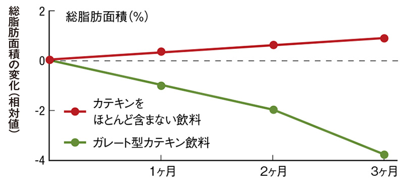 【教えて、先生！】カテキンでコレステロールや体脂肪は下げられる？｜伊藤園の公式オンラインショップ「健康体」