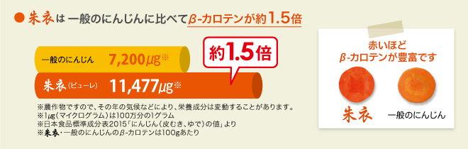 朱衣の特長