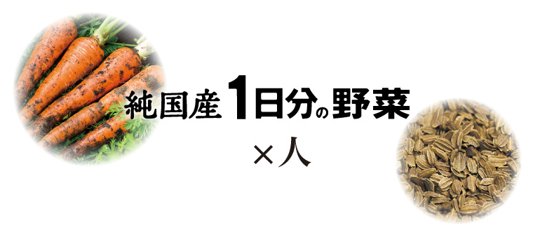 純国産1日分の野菜×人