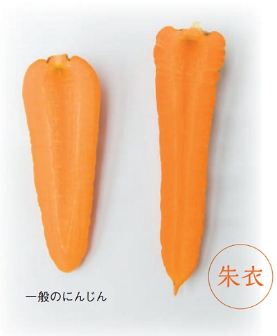 朱衣と一般的なにんじん