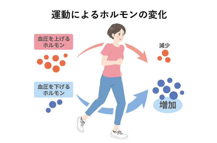 血圧 下げる 方法 で 即効 を 血圧を下げる方法〜食べ物や生活でのポイントを分かりやすく解説〜