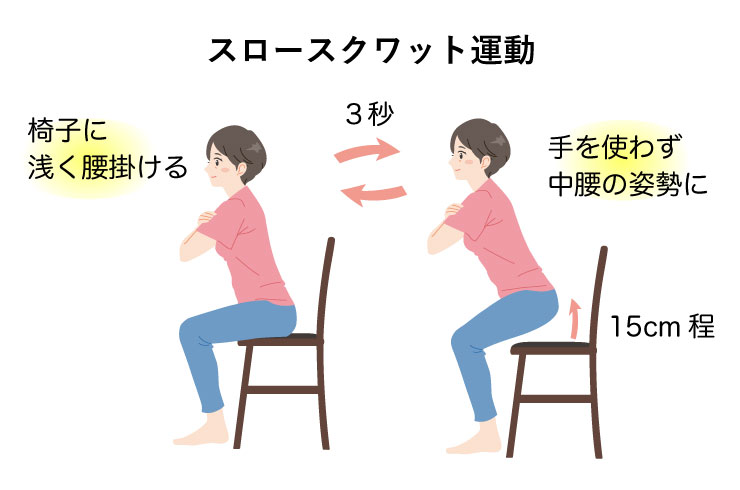 血圧高めの方の運動方法 座ったままでできるスロースクワット運動 伊藤園の公式オンラインショップ 健康体