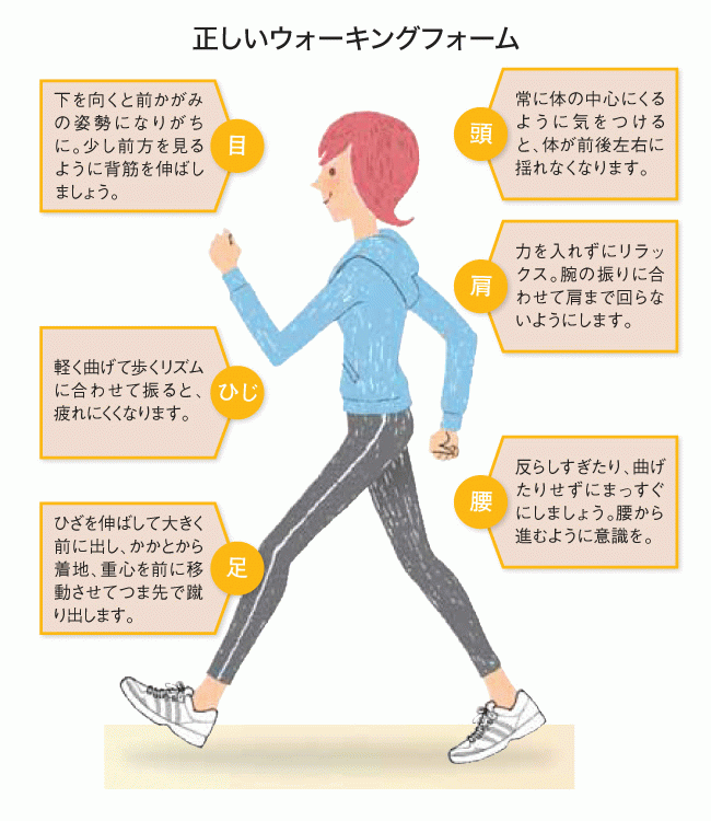 景色を楽しみながら健康ウォーキング 伊藤園の公式オンラインショップ 健康体 景色を楽しみながら健康ウォーキング 伊藤園の公式オンラインショップ 健康体