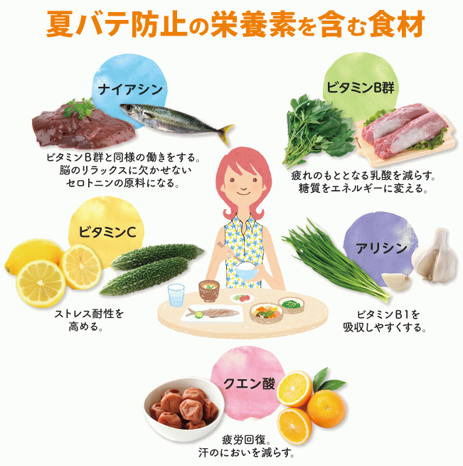 夏バテを予防して健康的な夏を過ごそう 伊藤園の公式オンラインショップ 健康体
