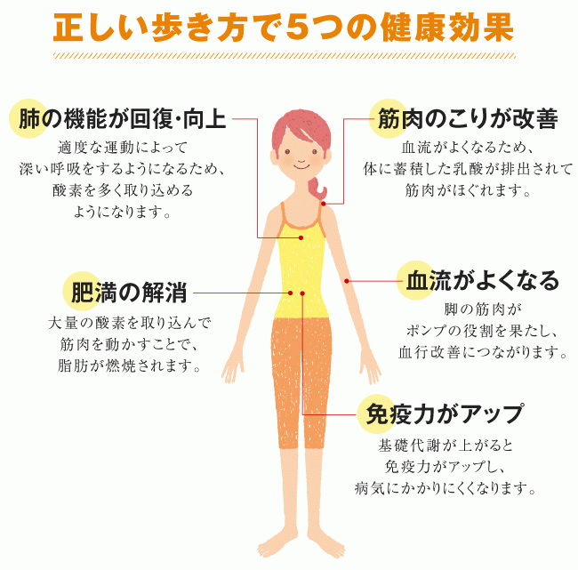 正しいウォーキングで毎日を健康に過ごそう 伊藤園の公式オンラインショップ 健康体 正しいウォーキングで毎日を健康に過ごそう 伊藤園の公式オンラインショップ 健康体