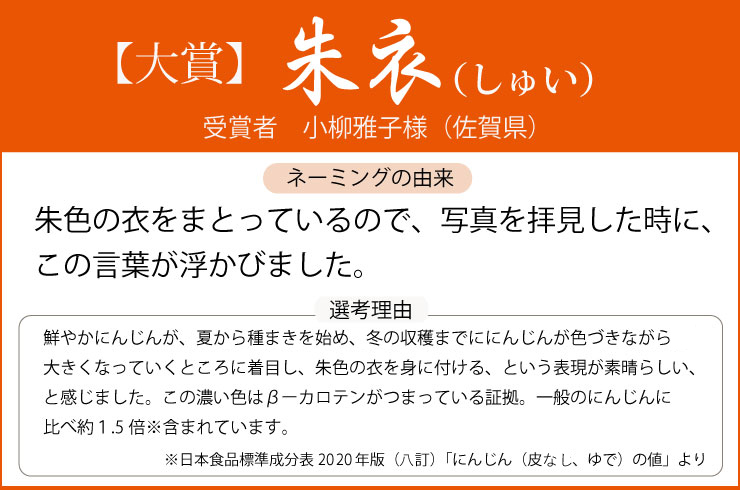 特別オファー シュリちゃんカイトちゃん専用 人参乾燥葉