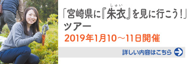 宮崎県に『朱衣』を見に行こう！ツアーレポート 2019年1月10日〜11日開催 詳しい内容はこちらをクリック