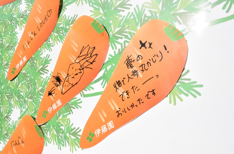 お客様のお声