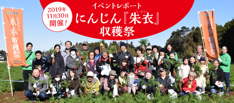 にんじん「朱衣」収穫祭
