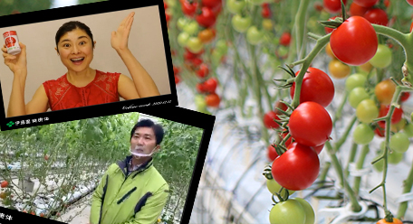 体験ツアーレポート　トマトのチカラ　オンライン健康プログラム