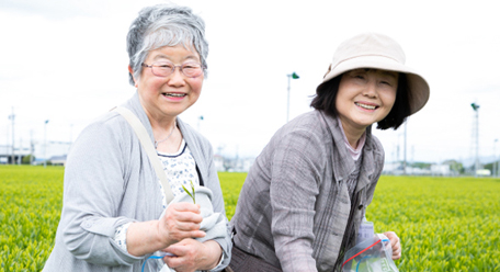 体験ツアーレポート 静岡県に茶畑を見に行こう！