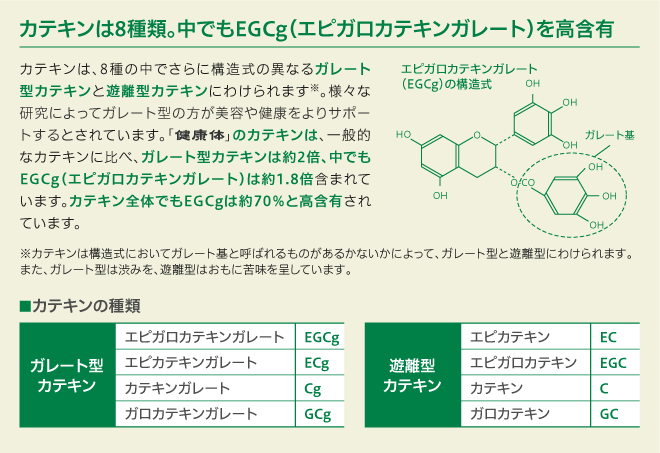 カテキンは8種類。中でもEGCg(エピガロカテキンガレート)を高含有/カテキンは、8種の中でさらに構造式の異なるガレート型カテキンと遊離型カテキンにわけられます※。様々な研究によってガレート型の方が美容や健康をよりサポートするとされています。「健康体」のカテキンは、一般的なカテキンに比べ、ガレート型カテキンは約2倍、中でも強力なEGCg(エピガロカテキンガレート)は約1.8倍含まれています。カテキン全体でもEGCgは約70%と高含有されています。