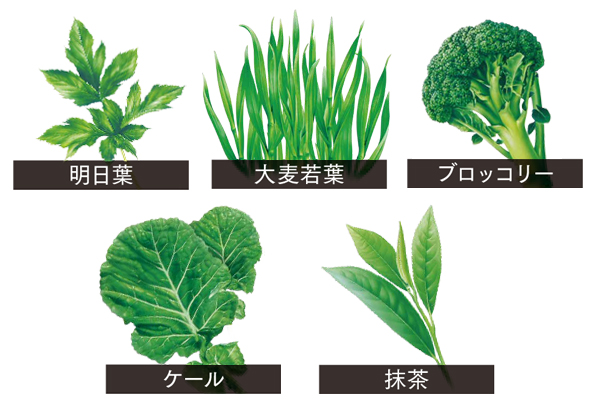 国産の明日葉、大麦若葉、ブロッコリー、ケール、抹茶の緑の素材を5種類