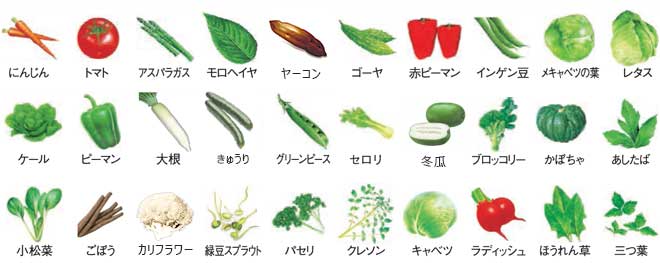 30品目の野菜の図