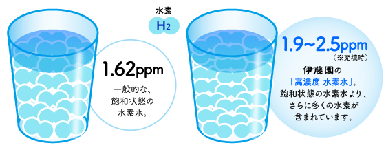 水素濃度の図　一般的な飽和状態の水素水1.62ppm　伊藤園の「高濃度水素水」。飽和状態の水素水よりさらに多くの水素が含まれています。1.9〜2.5ppm（※充填時）