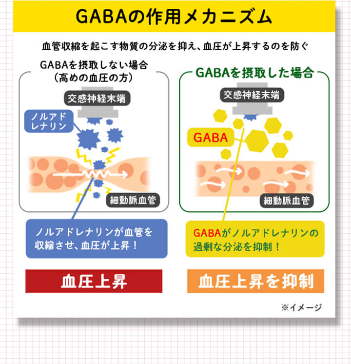 GABAの作用メカニズム イメージ